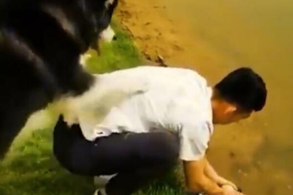 KONJA ZASVRBELO, PAS POLUDEO: KO OVDE KOGA?! Urnebesan snimak zasmejaće vas do SUZA (FOTO)