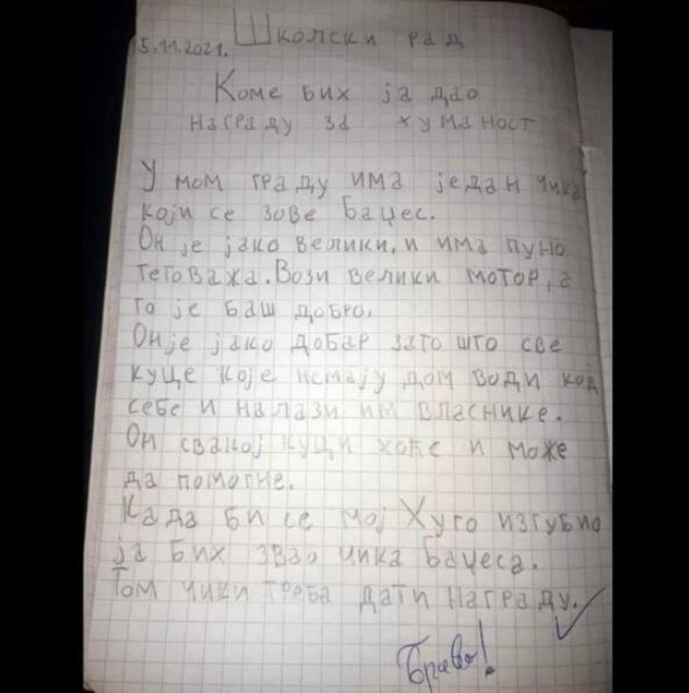 Davidov školski rad