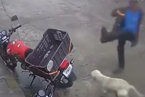 KARMA JE KU*KA! Pijanac krenuo da ŠUTIRA PSA, a onda mu se desilo NEŠTO JOŠ GORE