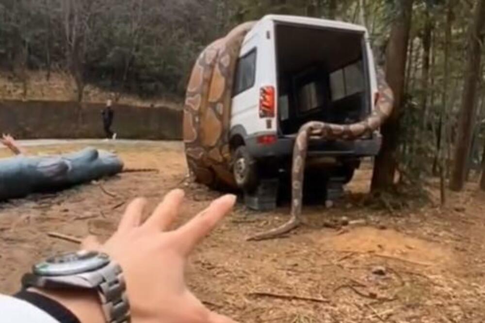 SNIMAK KOJI ĆE VAM UTERATI STRAH U KOSTI: Džinovski PITON "napao" KOMBI, ljudi netremice gledali U JEDNU STVAR