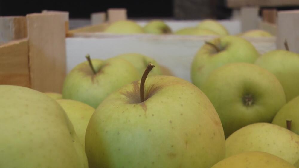 Hladnjače u Srbiji su pune jabuka, od čega je 70 odsto bilo spremljeno za izvoz u Rusiju