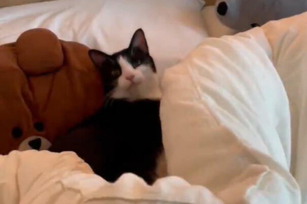 ŠOK U SOBI! Žena je podigla jorgan, a ono što je spazila IZNENADILO je SVE