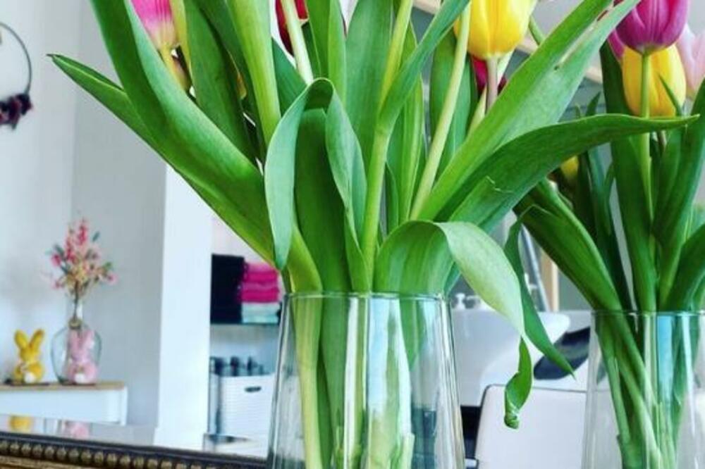 OVA TRI CVETA OBAVEZNO UNESITE U KUĆU NA DAN USKRSA: Veruje se da teraju ZLO i donose IZOBILJE I USPEH