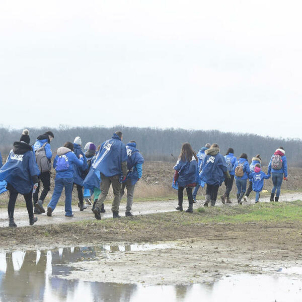 VELIKA NEDELJA PROJEKTA „ZASADI DRVO“ JE ZAVRŠENA: Po novim podacima, Srbija po šumovitosti dostigla svetski prosek