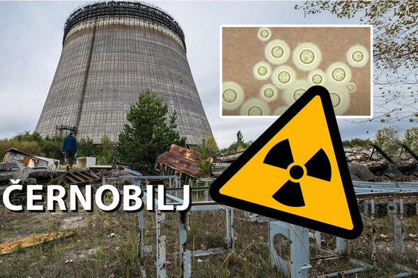 VOJNICI IMAJU SIMPTOME RADIJACIJSKE BOLESTI? SAD: Ruske snage počele da se povlače iz Černobilja