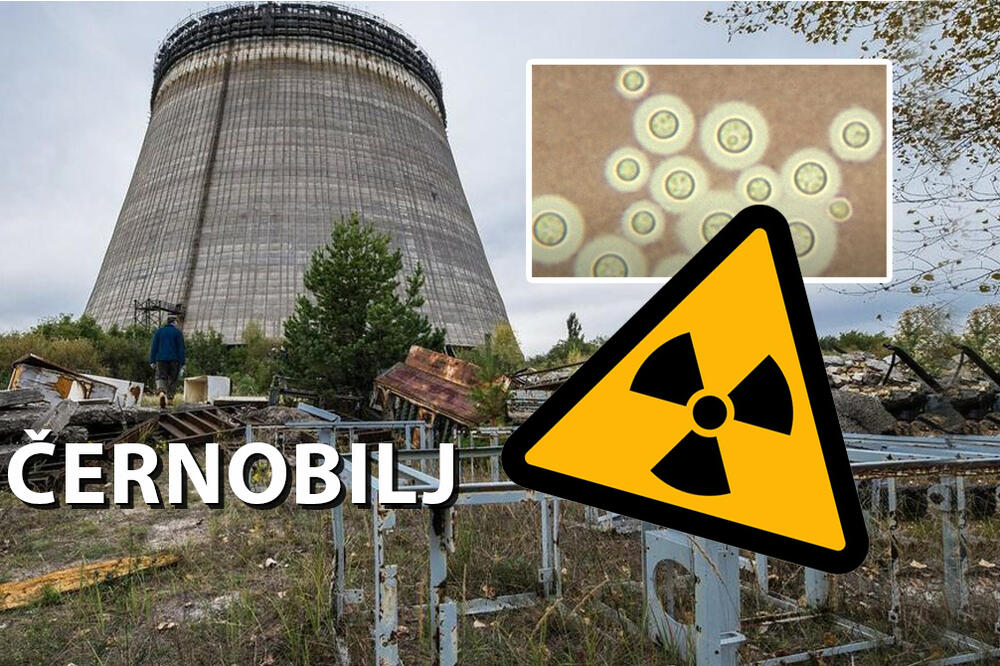 IMA LI RAZLOGA ZA UPLAŠENOST ZBOG ČERNOBILJA? Oglasila se Međunarodna agencija za atomsku energiju, evo šta kažu!