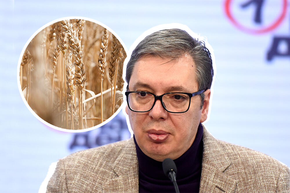 Vučić: Uskoro izvoz pšenice u Albaniju