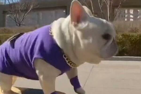 KADA SU VIDELI ŠTA RADI ISPRED ZGRADE, MNOGI SU OSTALI U ŠOKU: Postao je HIT NA INTERNETU SAMO TAKO (VIDEO)