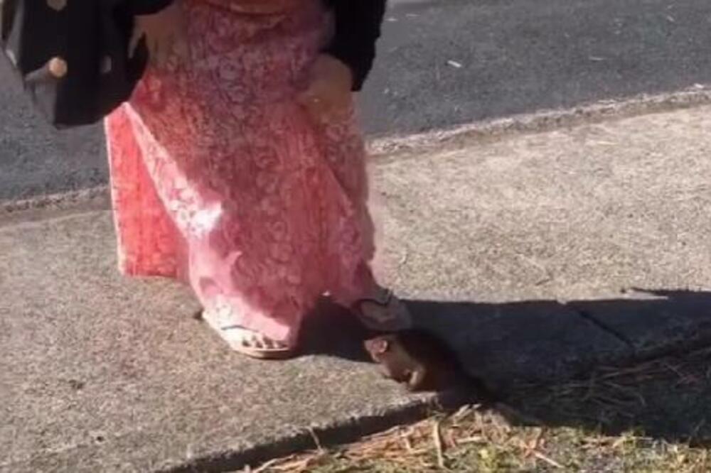 NASRED ULICE UHVATIO ŽENU ZA OVU STVAR, ONA SE OPIRALA KOLIKO JE MOGLA: Pogledajte ŠOKANTAN SNIMAK (VIDEO)