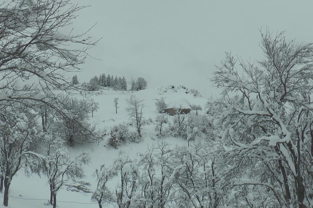 NEVEROVATNA SLIKA IZ NOVE VAROŠI: Sneg napadao usred APRILA, sve se zabelelo (FOTO)
