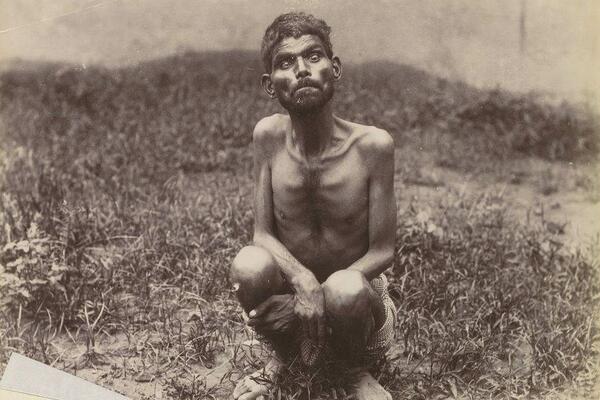 KRATAK ŽIVOT DINA, MALOG DIVLJAKA KOJI JE BIO INSPIRACIJA ZA "KNJIGU O DŽUNGLI": Strašna sudbina omiljenog DEČAKA!