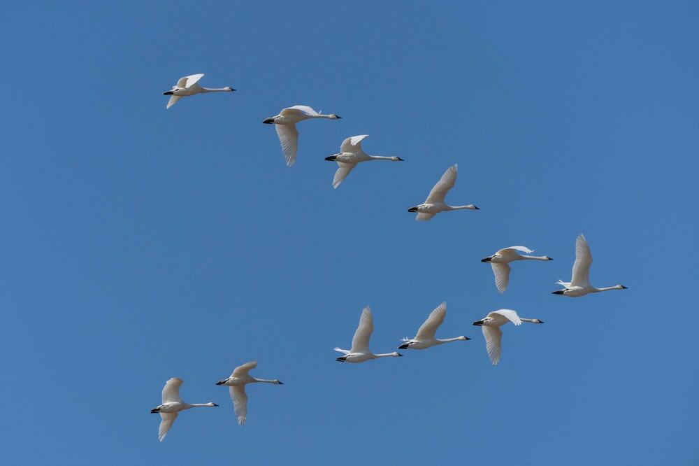 Na snazi fenski efekat u Srbiji, temperatura pada, a onda drastičan skok! Kad čujete kolika će biti temperatura...