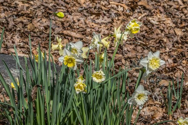 STIGLO NAM PROLEĆE! Dani su DUŽI, a noći KRAĆE, uživajte u LEPOM vremenu!