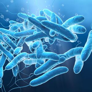 Otkrivena legionela: Novi haos u Hrvatskoj!