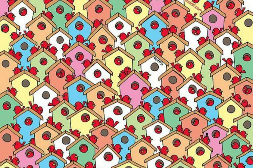 Proverite imate li OKO SOKOLOVO: Da li možete da uočite 3 SKRIVENE jabuke? Pogledajte DOBRO (FOTO)