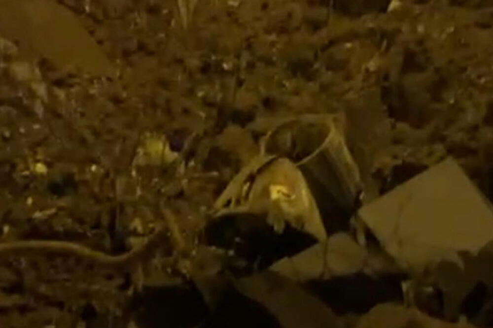 "EKSPLODIRALO JE 2 METRA OD MENE": Svedoci pada LETELICE u Zagrebu, ljudi vrištali i BEŽALI!