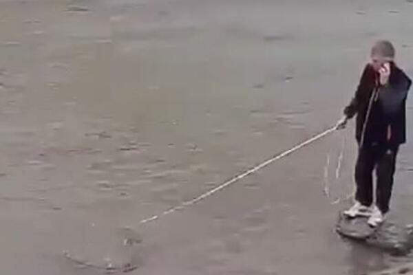 UHVAĆENA JEZIVA DUH AJKULA! Upišaćete se kada vidite KOLIKA IMA (FOTO)