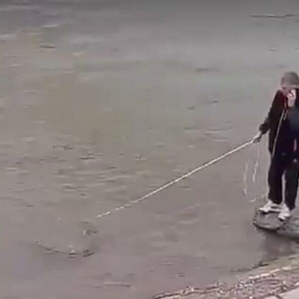 UHVAĆENA JEZIVA DUH AJKULA! Upišaćete se kada vidite KOLIKA IMA (FOTO)