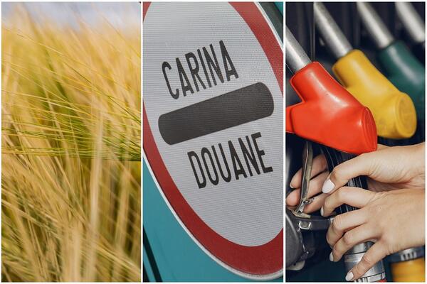 UPRAVA CARINE SRBIJE OBJAVILA SPISAK! ŠTA SVE NE SME DA SE IZVEZE IZ SRBIJE?