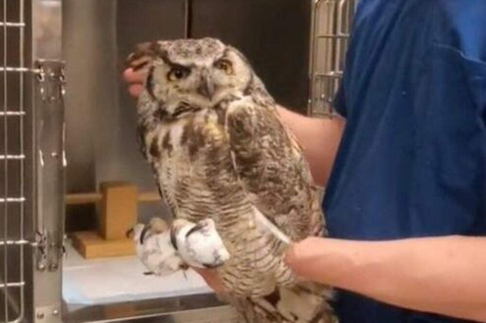 SNIMAK SOVE KAO DA JE NADROGIRANA GLEDALO PREKO 6 MILIONA LJUDI! Evo i zašto! (VIDEO)