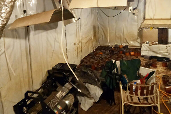 OTKRIVENA LABORATORIJA ZA UZGOJ MARIHUANE: U akciji policije uhapšeni dileri u Barajevu! (FOTO)