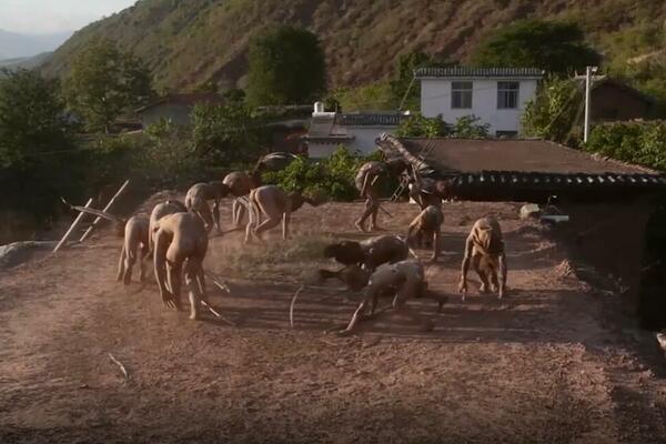 TRADICIONALNI PLES Kultura poštovanja tigra u Junanu (VIDEO)