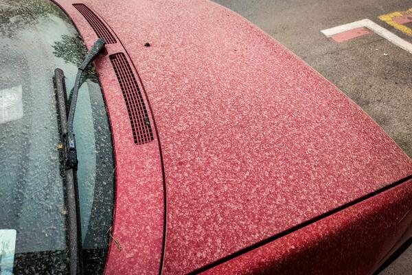 OD GENOCIDA PREKO AERO ZAGAĐENJA DO ČESTICA IZ ČERNOBILJA: Sve SRPSKE TEORIJE ZAVERE o PRLJAVOJ KIŠI!(FOTO) (VIDEO)