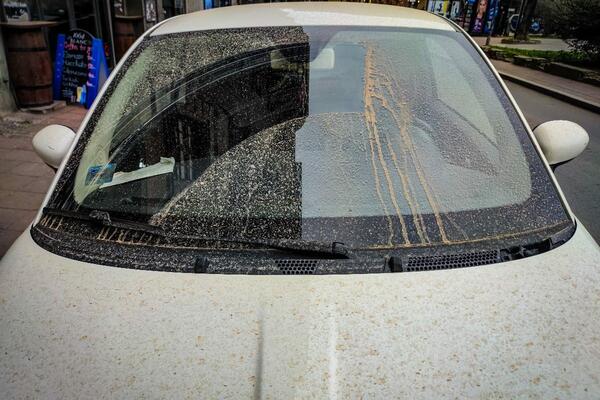 SRBIJA STREPI ZBOG POSLEDICA "ŽUTE KIŠE": Dr Radosavljević OTKRILA da li je ona OPASNA po ZDRAVLJE! (FOTO)