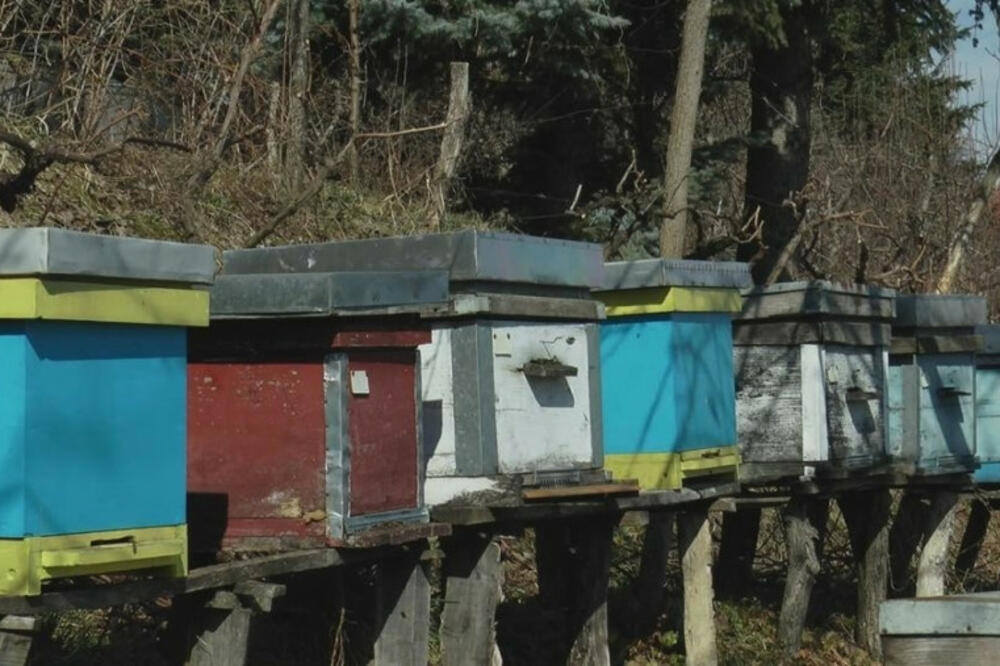 OD OVOG POSLA SRBI SU ŽIVELI KAO CAREVI, A SAD JEDVA: Evo koliku tačnu zaradu sada donosi