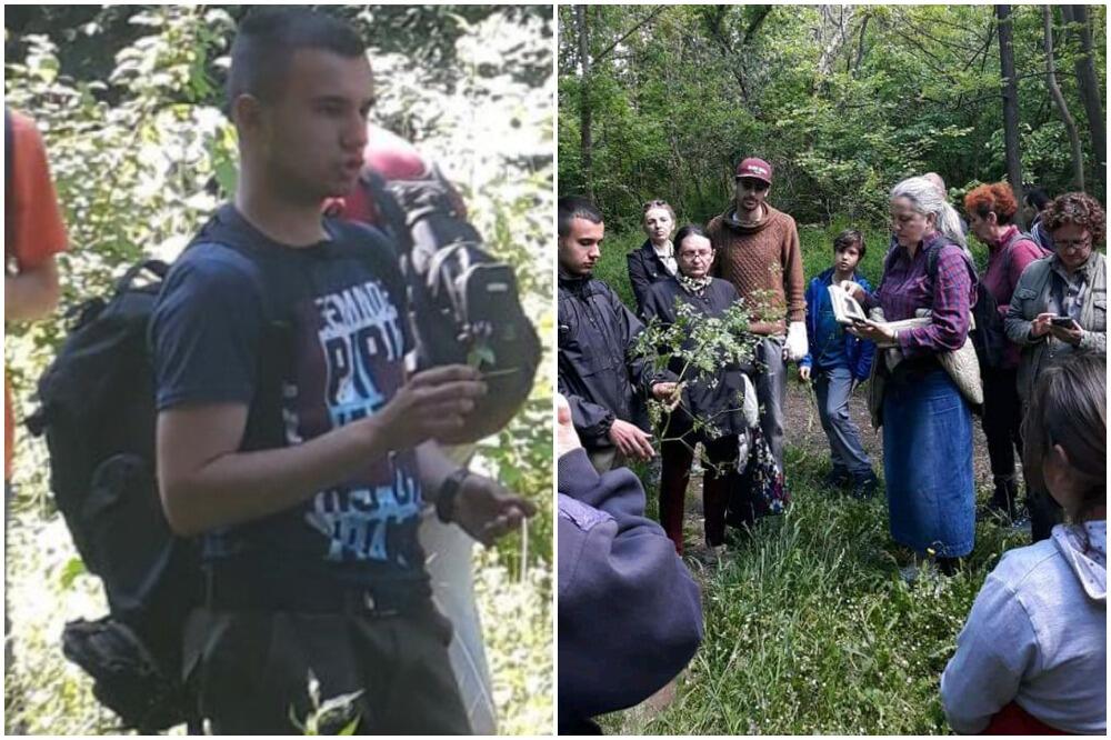 SRPSKI TRAVAR OTKRIO JE TAJNE LEKOVITIH BILJAKA! Jedna liči na korov, raste iz asfalta, a leči mnoge bolesti