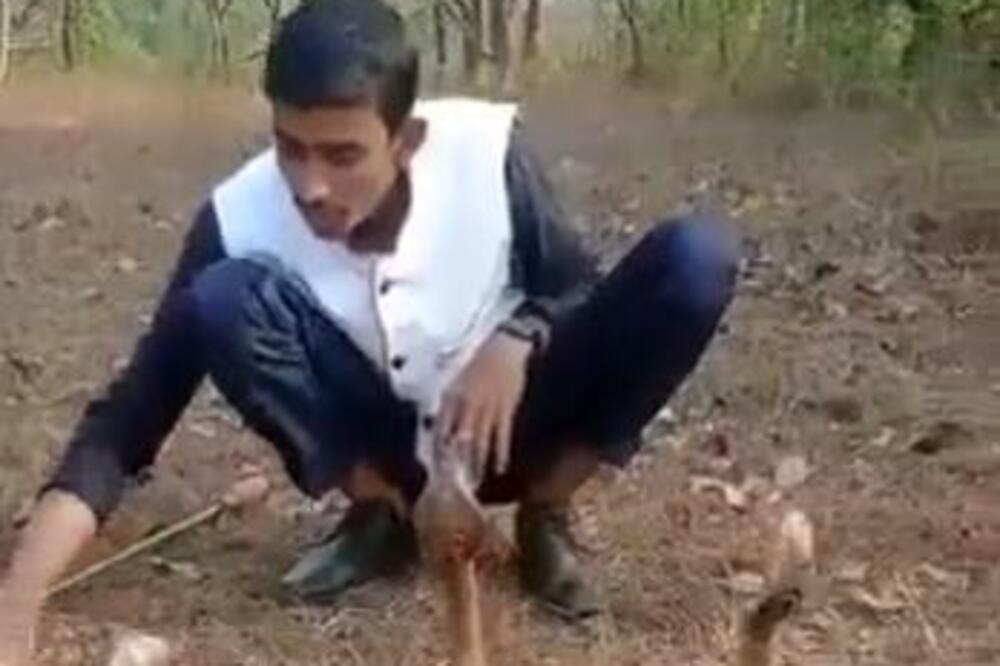 ZAIGRAO SE SA 3 ZMIJUGE, A ONDA JE USLEDIO HOROR KOJEM SE NIJE NADAO: Srce će vam ZASTATI kada VIDITE ŠTA SE DESILO