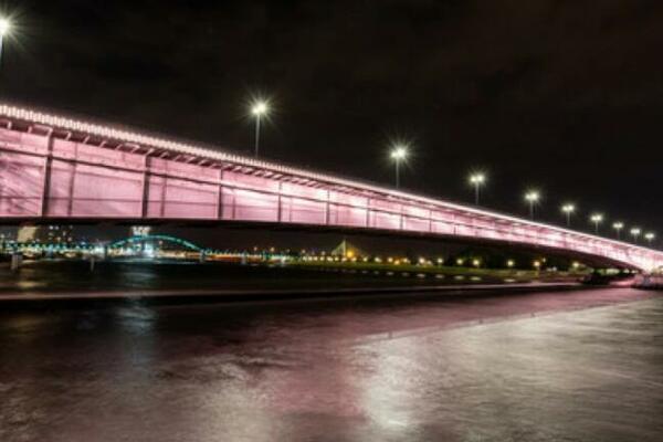 U NEDELJU SIMBOLI PRESTONICE OBOJENI U ROZE: Beograd obeležava Nacionalni dan borbe protiv raka dojke (FOTO)