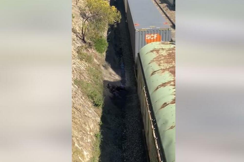 NE GLEDAJTE AKO IMATE SLABO SRCE! Monstrum bacio PSA NASRED PRUGE, EVO ŠTA GA JE SPASILO SIGURNE SMRTI (VIDEO)