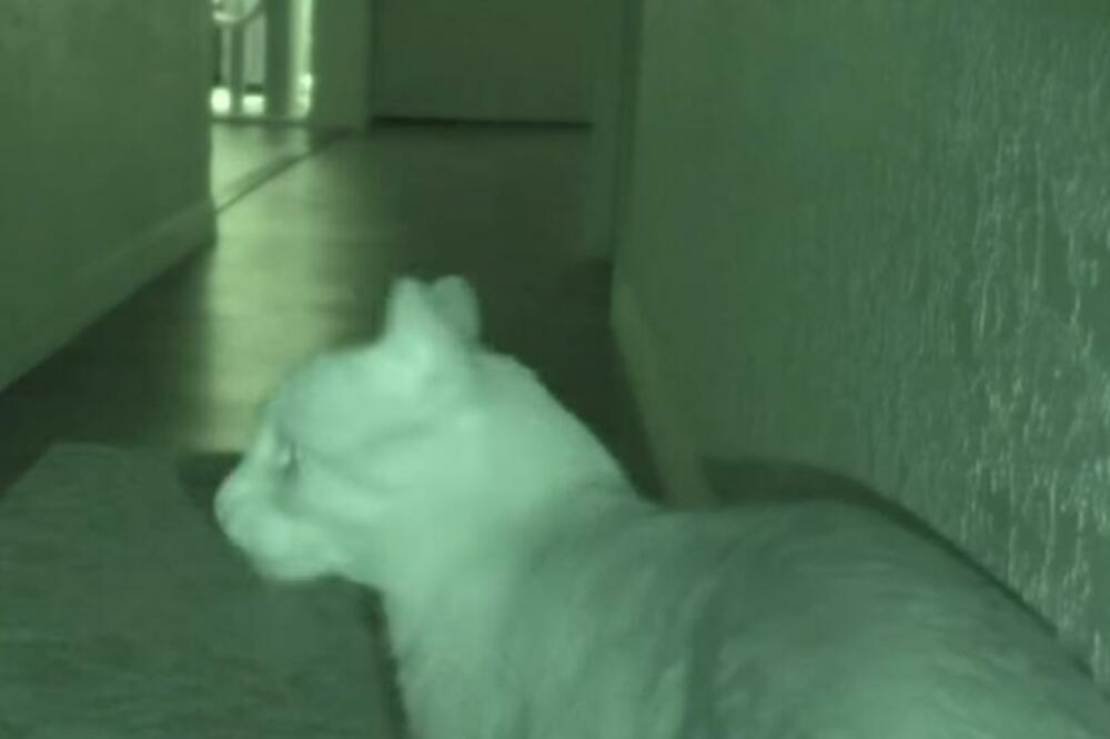 POSTAVILA KAMERU I UHVATILA IH USRED AKCIJE: Sablaznula se kada je videla kakve stvari rade (VIDEO)