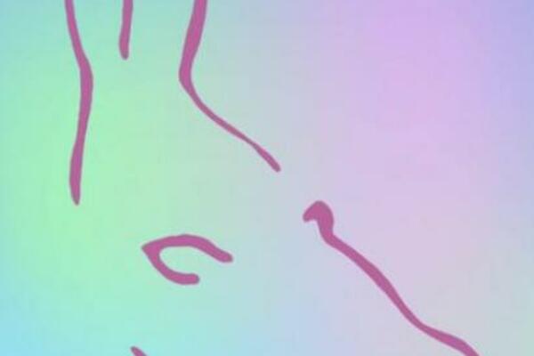 OPTIČKA VARKA KOJA JE POSVAĐALA CEO SVET: Niko nije uspeo, ma koliko se trudili (FOTO)