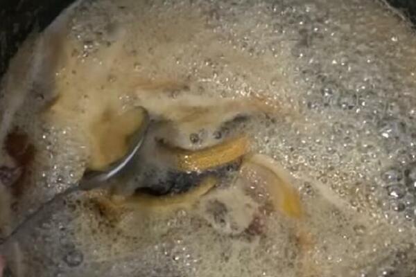 Maslačak ne leči bolesti i dijabetes