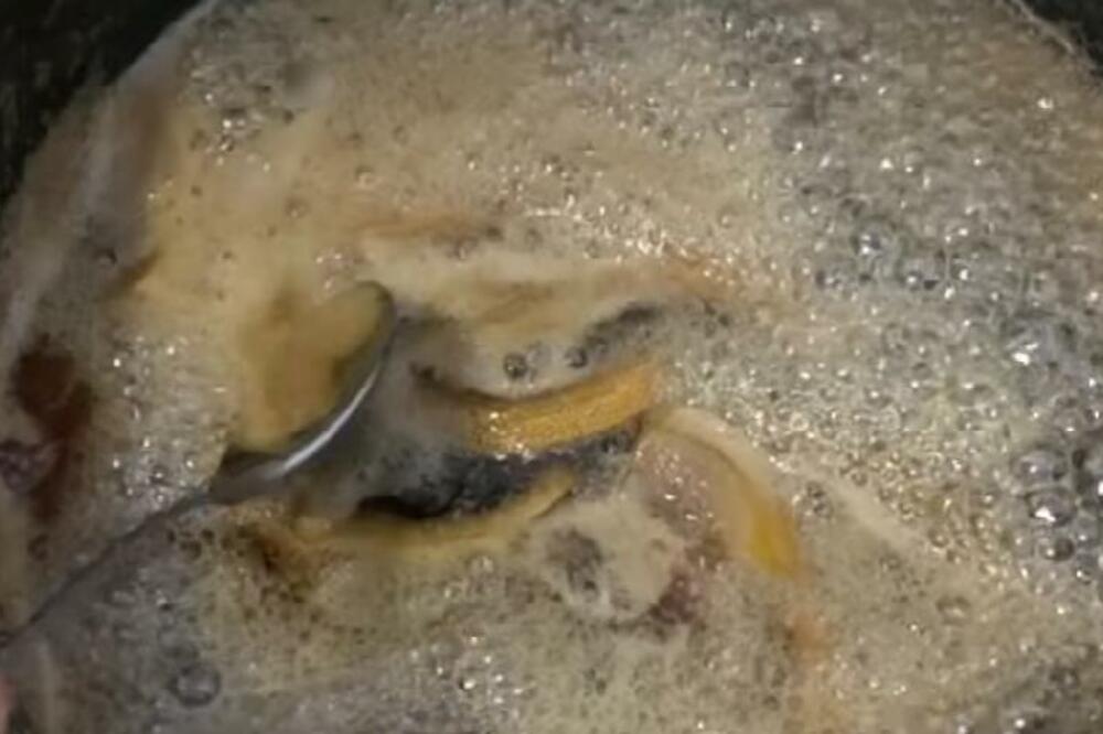 Maslačak ne leči bolesti i dijabetes