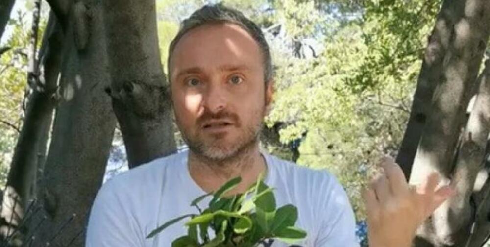 Momčilo Antonijević