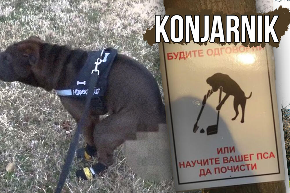 BEZOBRAZNI VLASNICI PASA, OVO JE PORUKA ZA VAS: Nesvakidašnji APEL osvanuo na KONJARNIKU, tek da vidite SLIKU! FOTO