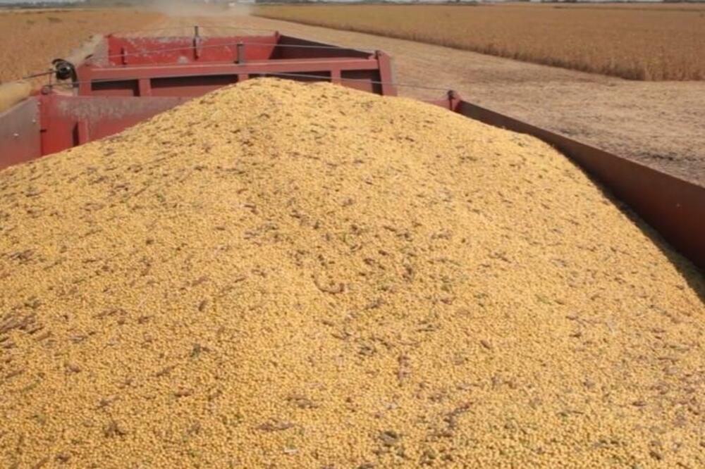 OVA NAMIRNICA SNIŽAVA HOLESTEROL ZA ČAK 4 ODSTO U ROKU OD 6 NEDELJA: Niste ni znali da je toliko MOĆNA