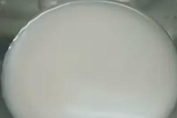 SVAKI NUTRICIONISTA PRVO PREPORUČI OVU NAMIRNICU: Kažu da je NAJZDRAVIJA za ljudski organizam