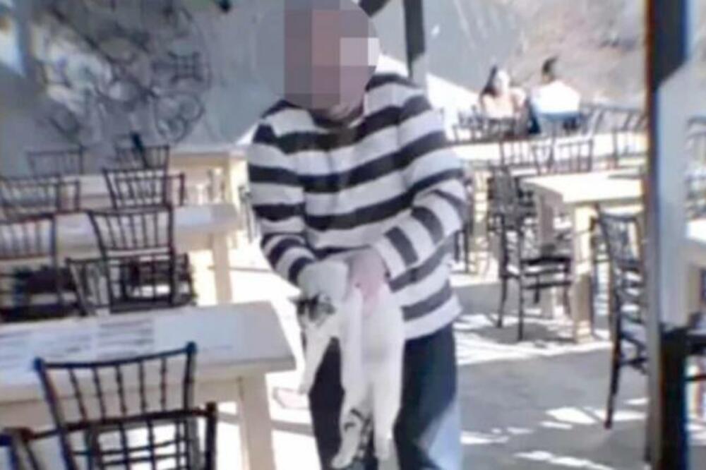 UHAPŠEN MUŠKARAC IZ NIŠA: Bacio mačku sa terase restorana u Nišavu i smejao se