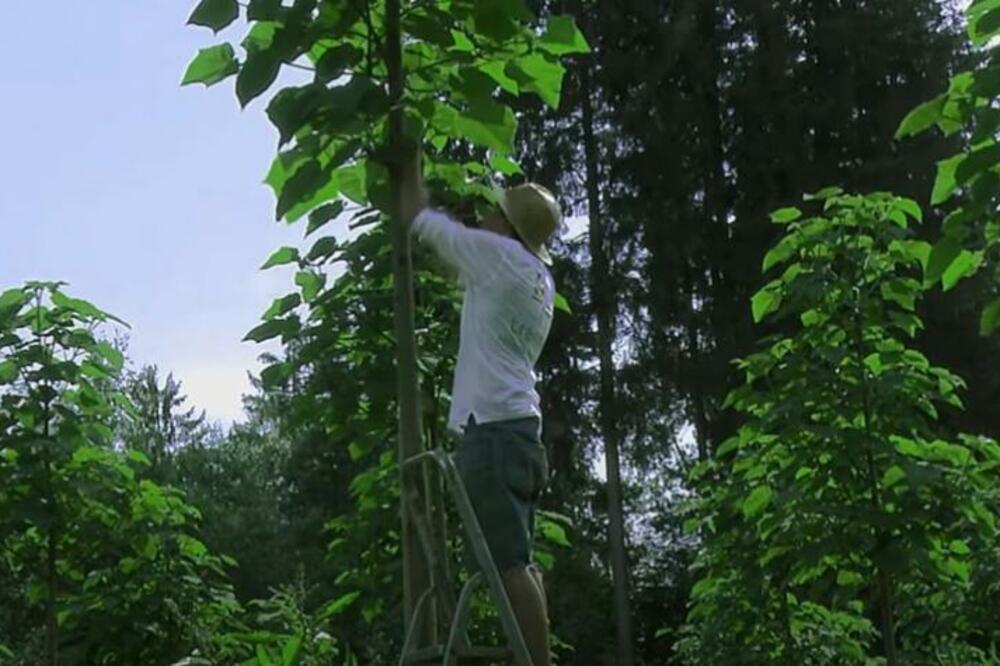 PARAĆIN DOŠAO NA GENIJALNU IDEJU: Nikada više neće plaćati grejanje, evo i zašto