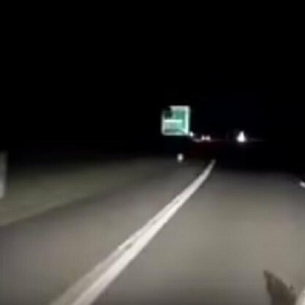 UMALO POGINULI NA PUTU: Otac i ćerka bili u autu kad ih je zadesio HOROR, MALO JE FALILO (VIDEO)