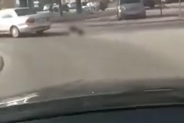 MANIJACI VEZALI PSA ZA AUTOMOBIL, PA DIVLJALI PO BUJANOVCU: Sad se SRAMNIM REČIMA "VADE IZ BLATA"! Da li su REALNI?