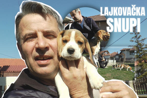 UPOZNAJTE PRESLATKOG LAJKOVAČKOG SNUPIJA: Zahvaljujući liku iz CRTAĆA Zoran je napravio biznis i to KAKAV! (FOTO)