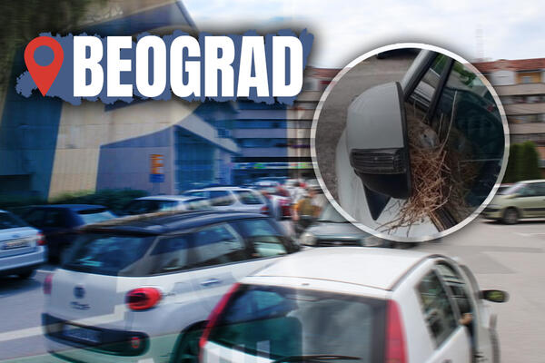 NEVEROVATAN PRIZOR NA PARKINGU U BEOGRADU! Kako je uspela i to između retrovizora i prozora?! (FOTO)