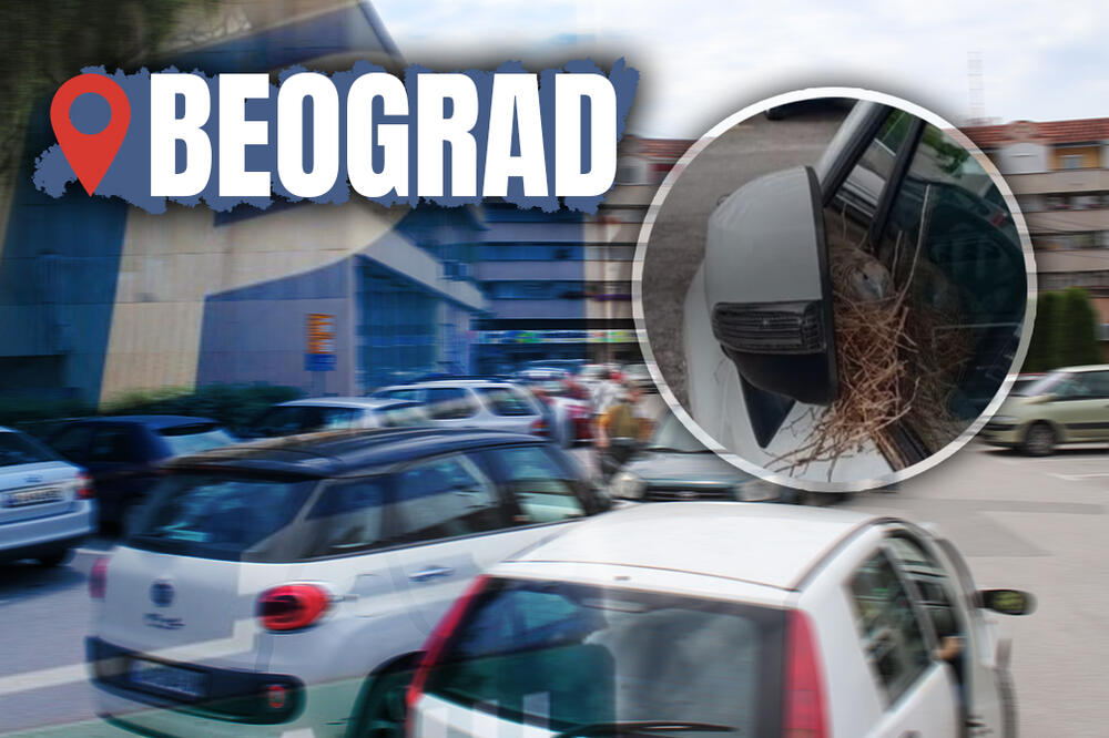 NEVEROVATAN PRIZOR NA PARKINGU U BEOGRADU! Kako je uspela i to između retrovizora i prozora?! (FOTO)