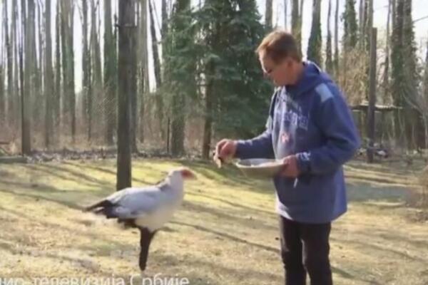 "VIDIM MOJ MEDVED U DISKOTECI PIJE KOKA-KOLU": Milan je otvorio PRIVATNI ZOO VRT, pa su ga snašle RAZNE ZGODE! FOTO