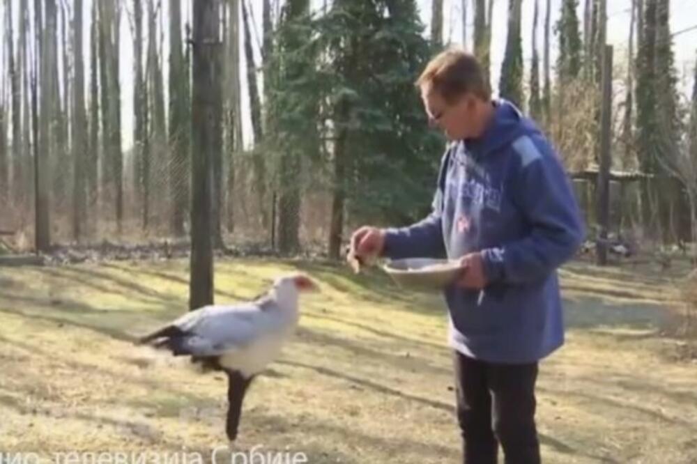 "VIDIM MOJ MEDVED U DISKOTECI PIJE KOKA-KOLU": Milan je otvorio PRIVATNI ZOO VRT, pa su ga snašle RAZNE ZGODE! FOTO